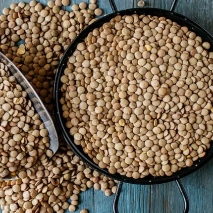 Organic Persian Green Lentils-1kg